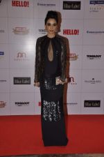 Sheetal Mafatlal at Hello hall of  fame awards 2013 in Palladium Hotel, Mumbai on 24th Nov 2013